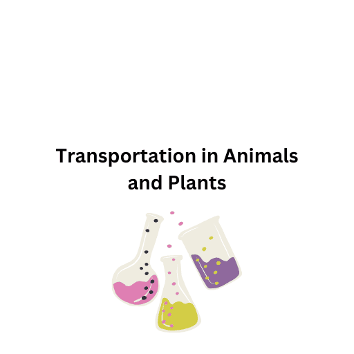 Transportation in Animals and Plants